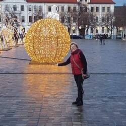 Foto del profilo dell'utente 