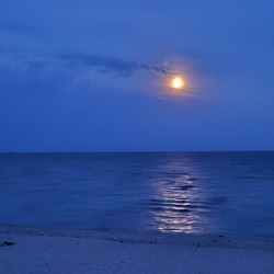 Profilfoto vom Benutzer