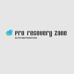 Profilfoto von Pro Recovery Zone