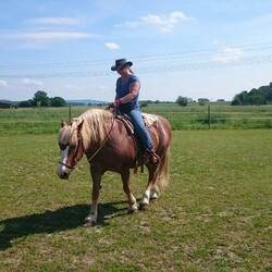 Profielfoto van de gebruiker