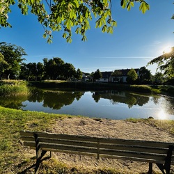 Profilfoto vom Benutzer