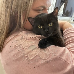 Profilfoto vom Benutzer