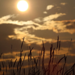 Photo de profil de Tabea Leist