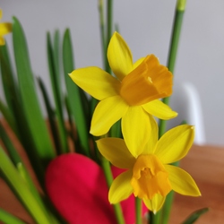 Profilová fotka uživatele 