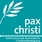 Профилна снимка на pax christi - Deutsche Sektion e.V.