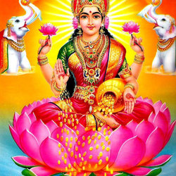 Profilfoto von ravimathur