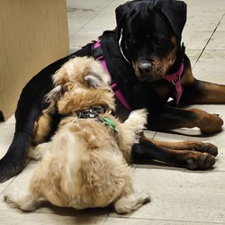 ユーザープロフィール写真