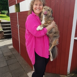 Profilfoto vom Benutzer