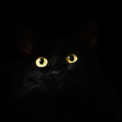 Profilfoto von Manuel Raulf