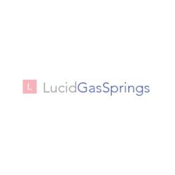 Profile picture of Lucid Gas Springs