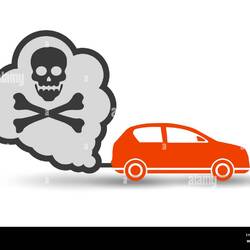 Օգտատիրոջ պրոֆիլի լուսանկար