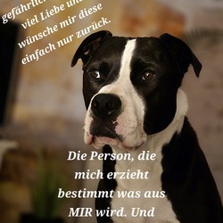 Profilfoto von Jasmin Krause