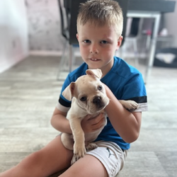 Photo de profil de l'utilisateur