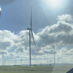 Profilfoto vom Benutzer