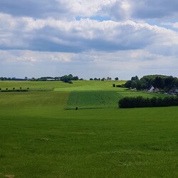 A felhasználó profilképe