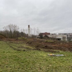 მომხმარებლის პროფილის ფოტო