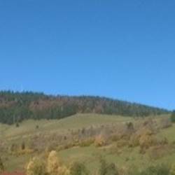 Profilfoto vom Benutzer