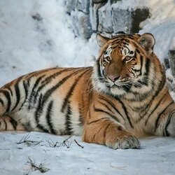 Фотографія профілю від користувача 