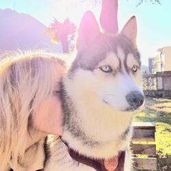 Zdjęcie profilowe użytkownika