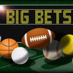 Foto del profilo dell'utente 