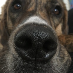 Vartotojo profilio nuotrauka