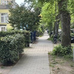 Profilfoto vom Benutzer