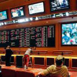 ユーザープロフィール写真