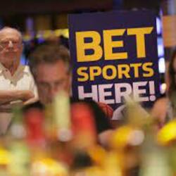 Foto del profilo dell'utente 