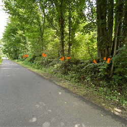 მომხმარებლის პროფილის ფოტო