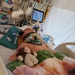 Gebruikersprofielfoto