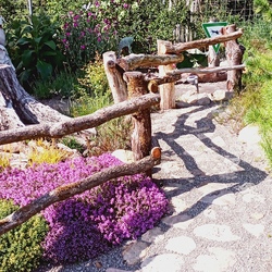 Profilfoto vom Benutzer