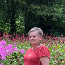 Profilová fotka uživatele 