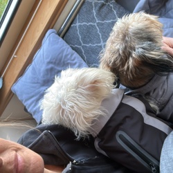 käyttäjän profiilikuva