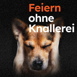 Пайдаланушы профилінің фотосы