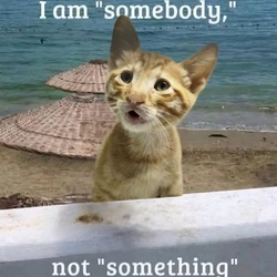 Profile picture of Natascha Adzic