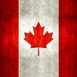 Foto do perfil do utilizador