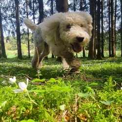 Profilfoto von Timo Hilbertz