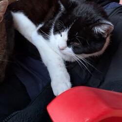 Profilfoto vom Benutzer