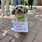 Profilbild von Nicole Born