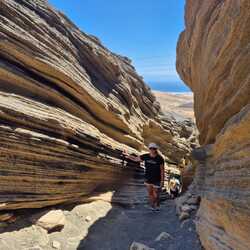 Profilfoto von Isabel Schmidt