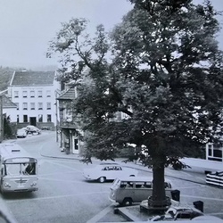 Profilfoto von Sandra Künster