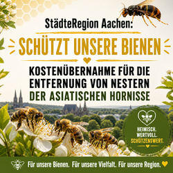 Profilfoto von Nadine Antedamus