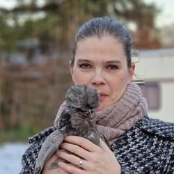 Profilfoto von Melanie Kern BA