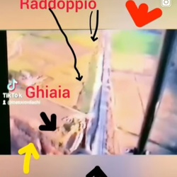 Immagine del profilo di Massimo lachi