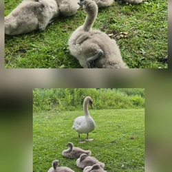 Profilfoto vom Benutzer