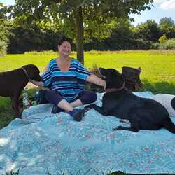 A felhasználó profilképe