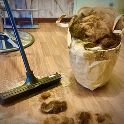 käyttäjän profiilikuva